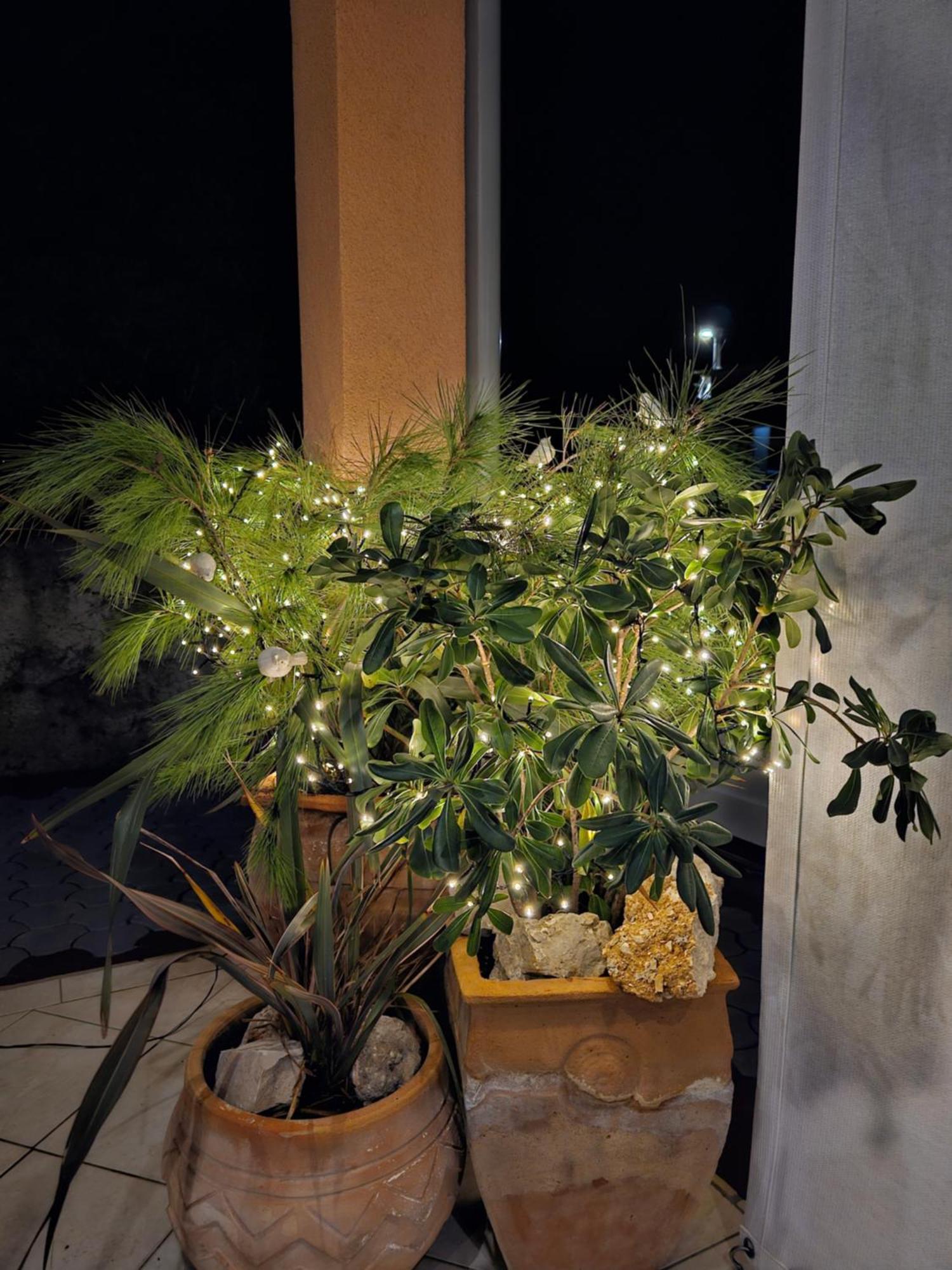 Apartment Melani Vir Dış mekan fotoğraf