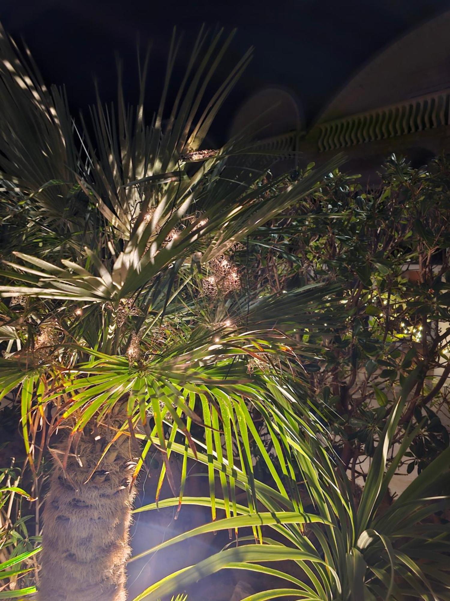 Apartment Melani Vir Dış mekan fotoğraf